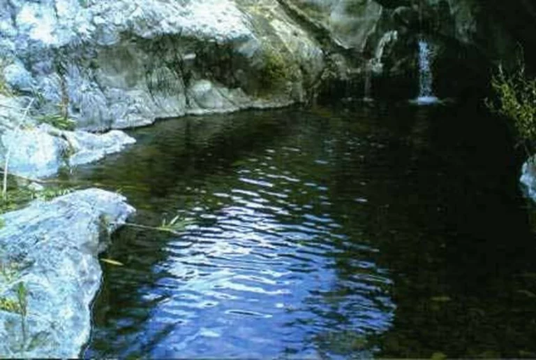 R3162982 | Finca – Cortijo in Estepona – 5 beds, 3 baths