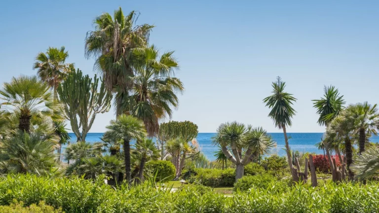 R5311477 | Ground Floor Apartment in Costalita – 3 beds, 2 baths