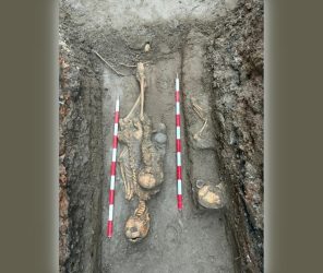 11bb5a9de04d5d1980ab608c2adfbdc8