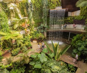 2502d154044f5c4ec9bc055ce24cc5b5