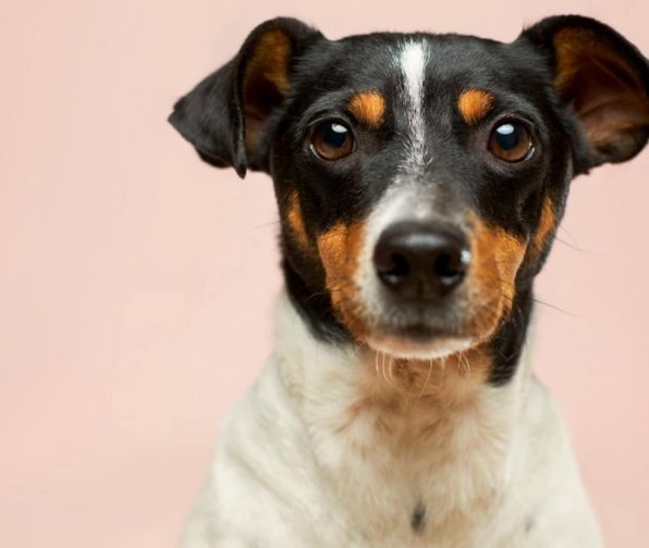 2631415ea882c633e2ae47d7ba29247d