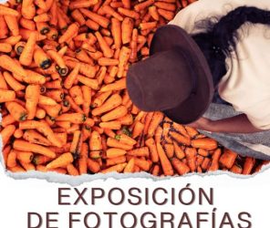 3d0c52a47fd1e78af8884b54472efef9-1