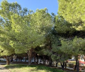 48650b7bfb145a6dbdafda5daef2f043