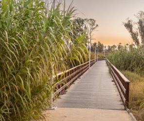 5afbf95b32e7db71018336cd492a1e8e