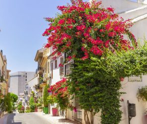 614d675fa84349a7187575ad35b351ec