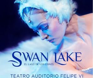 8b50f793b7d2101ff1b04d2775d13d11-1