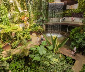 990909ad37d11bd82723487f93e41254