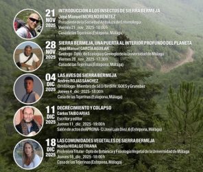 a4626d4aaf346f025d871db4a521c065-1