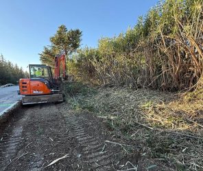 aca9a014c5b97d93b0563e87dab03388