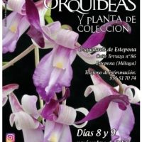 b5f05df5ebf333b12e3201bf1c0faacc