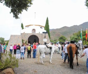 d279efa88770fa5ea4064f4cfaec33d4