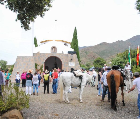 d279efa88770fa5ea4064f4cfaec33d4