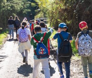 fe3ed63e6dd20fe7af02dda16dfc4617